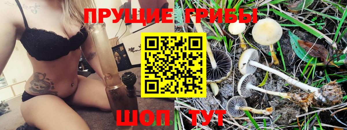 Псилоцибиновые грибы мицелий  Вход с VPN  Москва  Псилоцибиновые грибы мицелий 